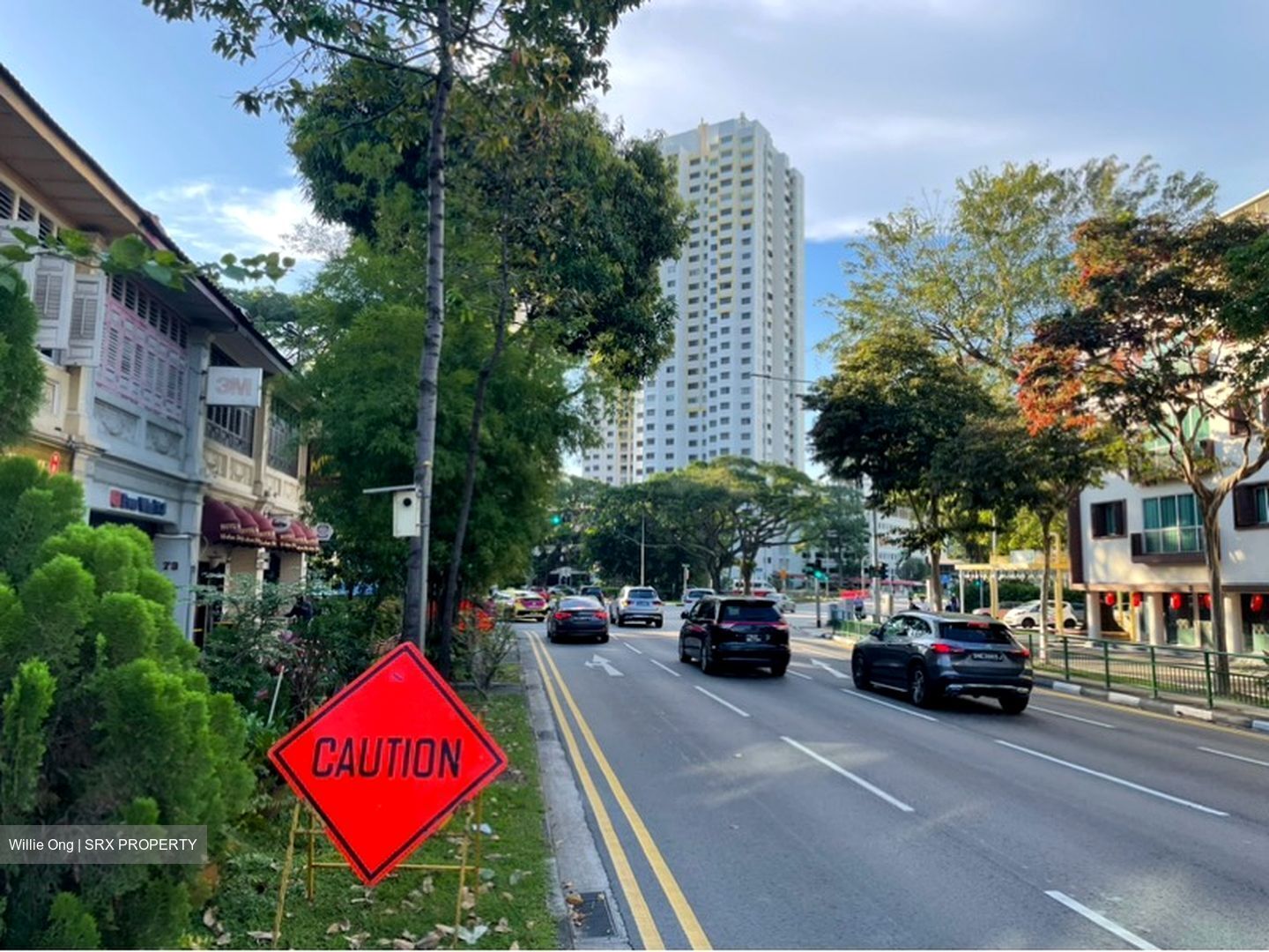 Tiong Bahru Road (D3), Shop House #596332011
